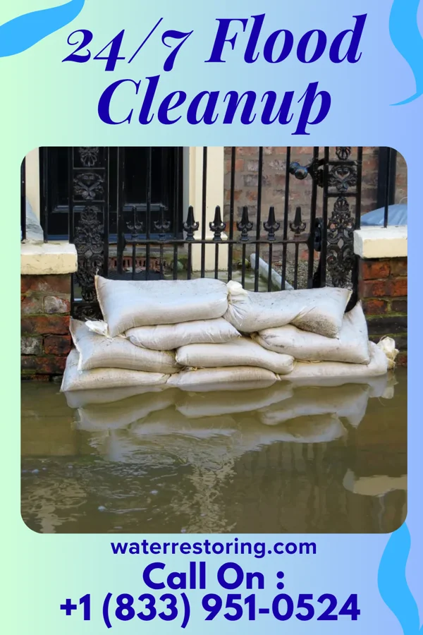 24/7 Flood Cleanup in Arlington, IL