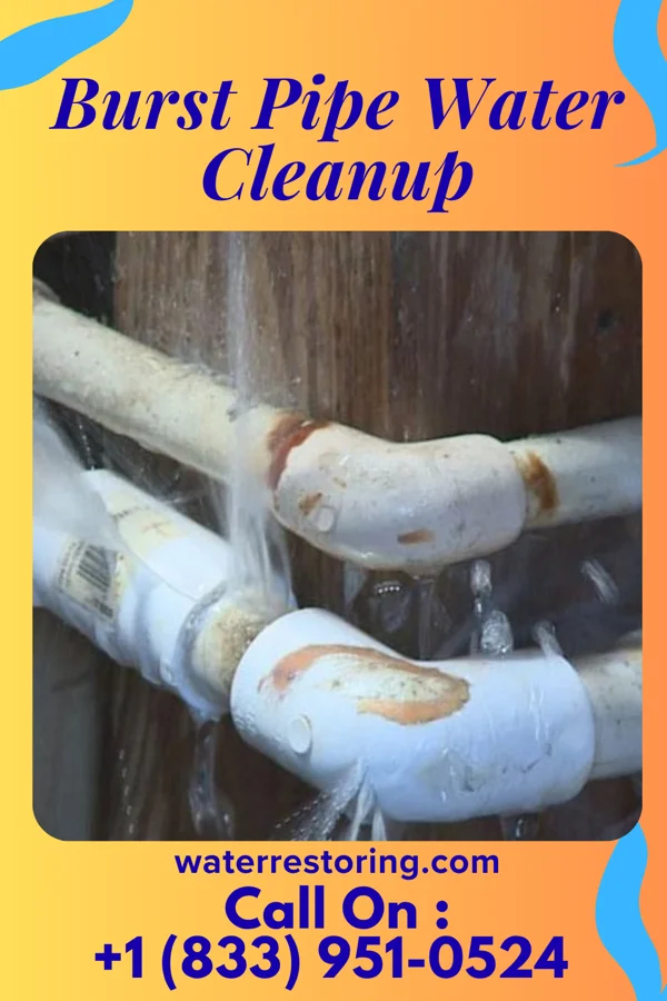 Burst Pipe Water Cleanup in Arlington, IL