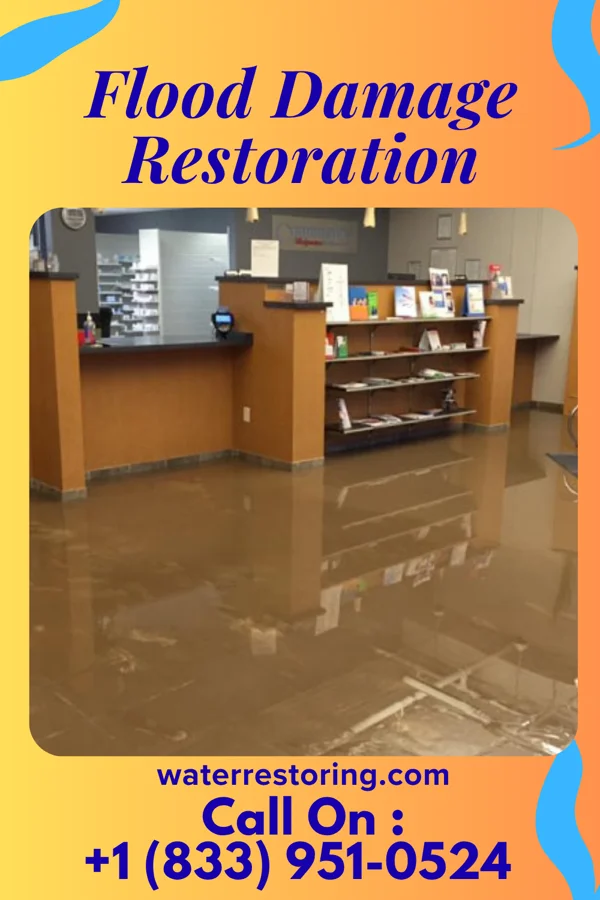 Flood Damage Restoration in Arlington, IL