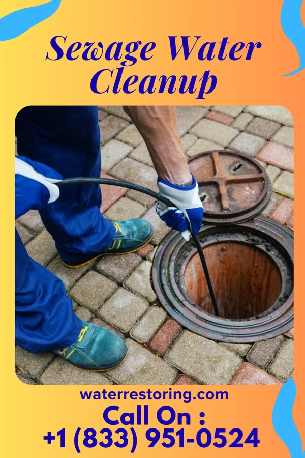 Sewage Water Cleanup in Arlington, IL